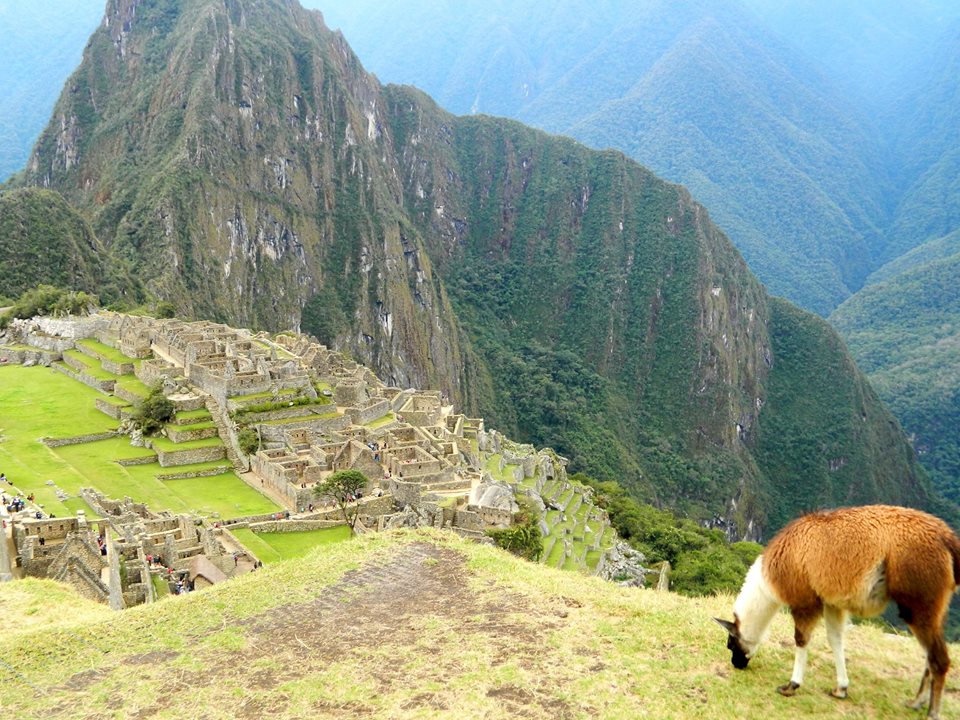 Machu Picchu